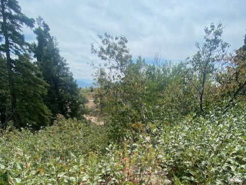 TOLLGATE CANYON - Land