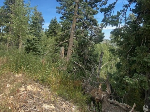 TOLLGATE CANYON - Land