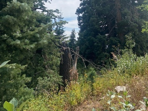 TOLLGATE CANYON - Land