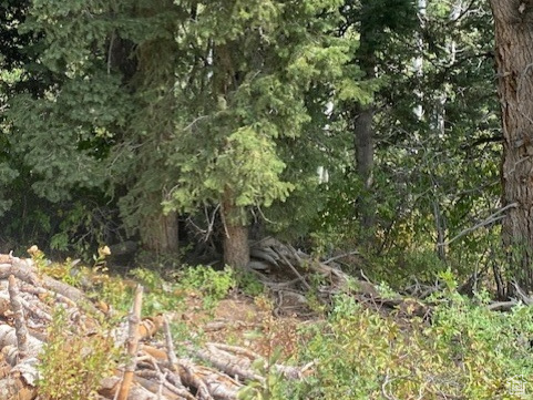 TOLLGATE CANYON - Land