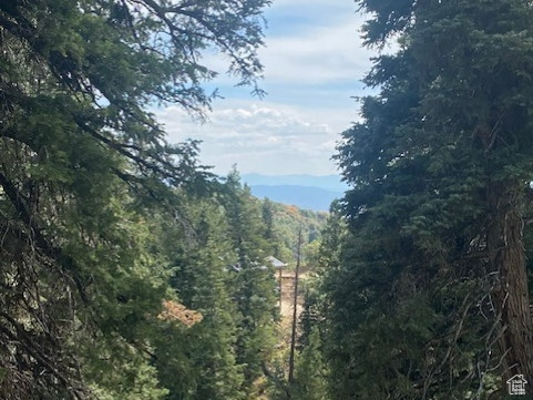 This .61 acre parcel is just 325 yards from the winter plow route, making it an ideal spot for your dream home. Imagine enjoying the sunrise from your deck, with stunning views of the High Uintas and the abundant wildlife the ranch offers. This mountain living experience truly feels like a vacation within your own property. The parcel is situated in the heart of the Pine Meadow Ranch HOA, and you're only 15 minutes from restaurants and shopping, only 25 minutes to world-class skiing, and 40 minutes to Salt Lake International Airport. Your dream home can sit perfectly situated between the majestic pines. If you're fortunate enough to be able to work from home, you can sit on the deck in the morning sun while attending those Zoom meetings to the astonishment of those on the other side of your laptop screen. Fall colors couldn't have started at a better time for this gorgeous property to hit the market.