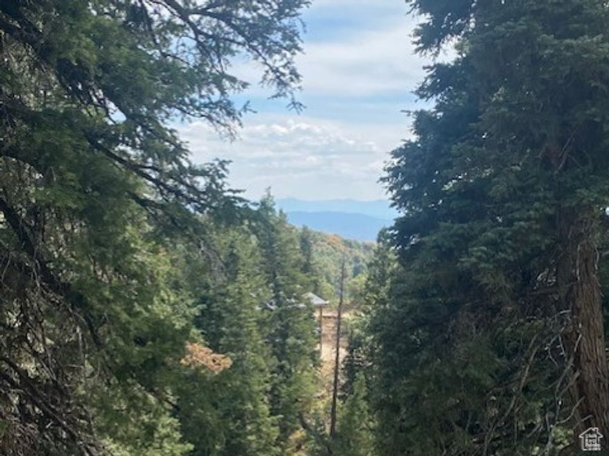 This .61 acre parcel is just 325 yards from the winter plow route, making it an ideal spot for your dream home. Imagine enjoying the sunrise from your deck, with stunning views of the High Uintas and the abundant wildlife the ranch offers. This mountain living experience truly feels like a vacation within your own property. The parcel is situated in the heart of the Pine Meadow Ranch HOA, and you're only 15 minutes from restaurants and shopping, only 25 minutes to world-class skiing, and 40 minutes to Salt Lake International Airport. Your dream home can sit perfectly situated between the majestic pines. If you're fortunate enough to be able to work from home, you can sit on the deck in the morning sun while attending those Zoom meetings to the astonishment of those on the other side of your laptop screen. Fall colors couldn't have started at a better time for this gorgeous property to hit the market.