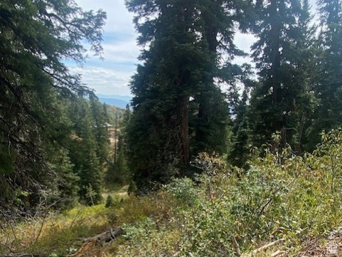 TOLLGATE CANYON - Land