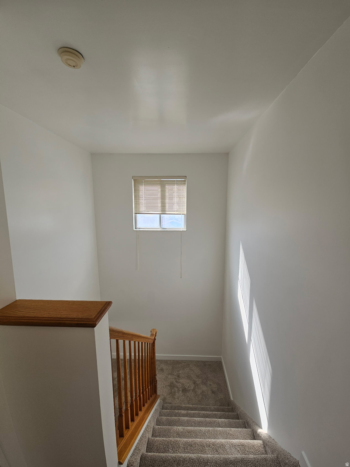 LARSON PARK - Residential