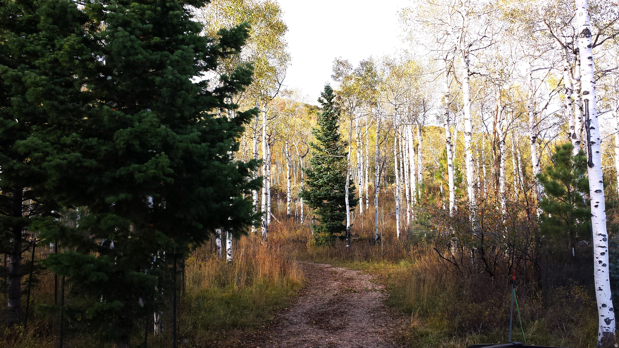 CANYON RIM RANCHES - Residential
