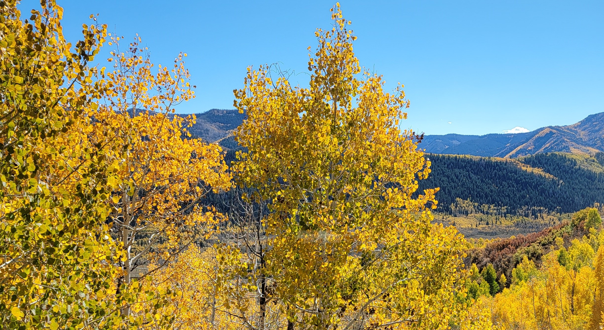 CANYON RIM RANCHES - Residential