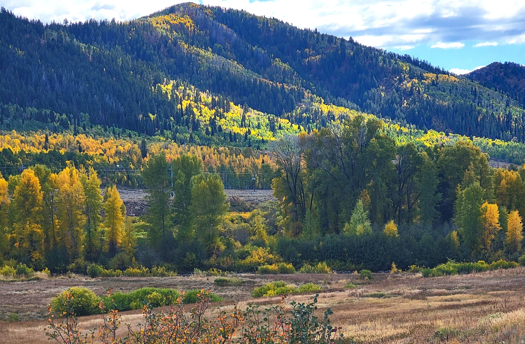 CANYON RIM RANCHES - Residential