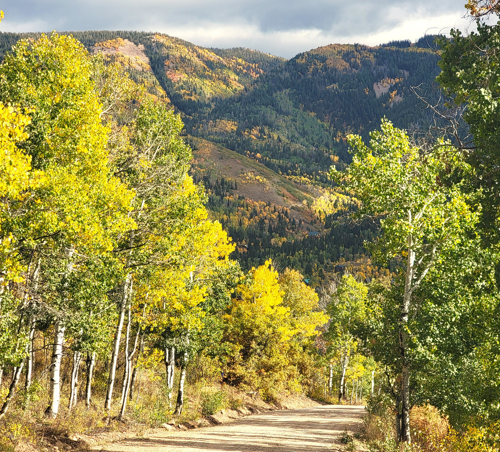 CANYON RIM RANCHES - Residential