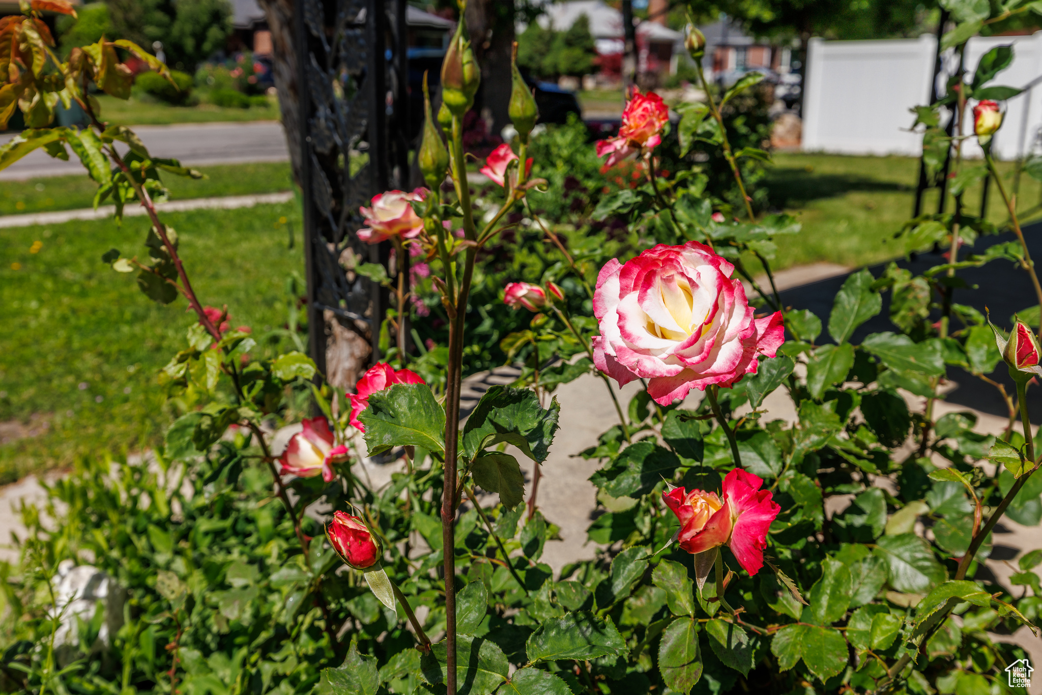 866 American Beauty Dr, Salt Lake City, Utah image 43