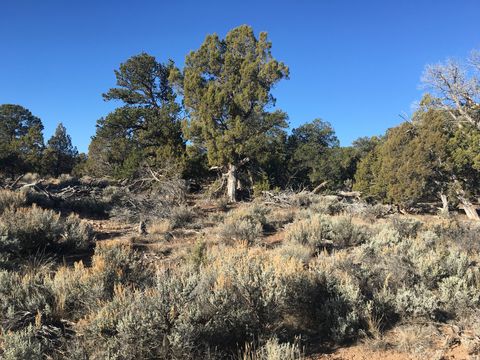 Tiny photo for 259 N OLD HWY, Monticello, UT 84535 (MLS # 2136540)