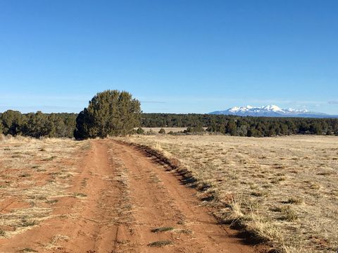 Tiny photo for 259 N OLD HWY, Monticello, UT 84535 (MLS # 2136540)