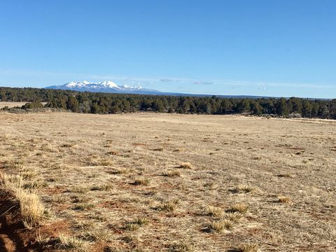 259 N OLD HWY Monticello UT 84535