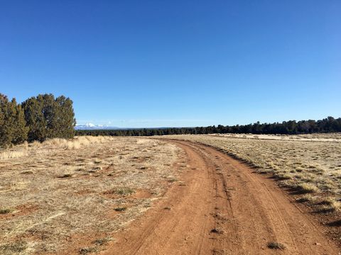 Tiny photo for 259 N OLD HWY, Monticello, UT 84535 (MLS # 2136540)