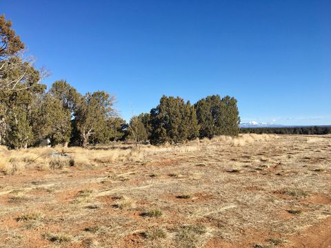 Tiny photo for 259 N OLD HWY, Monticello, UT 84535 (MLS # 2136540)