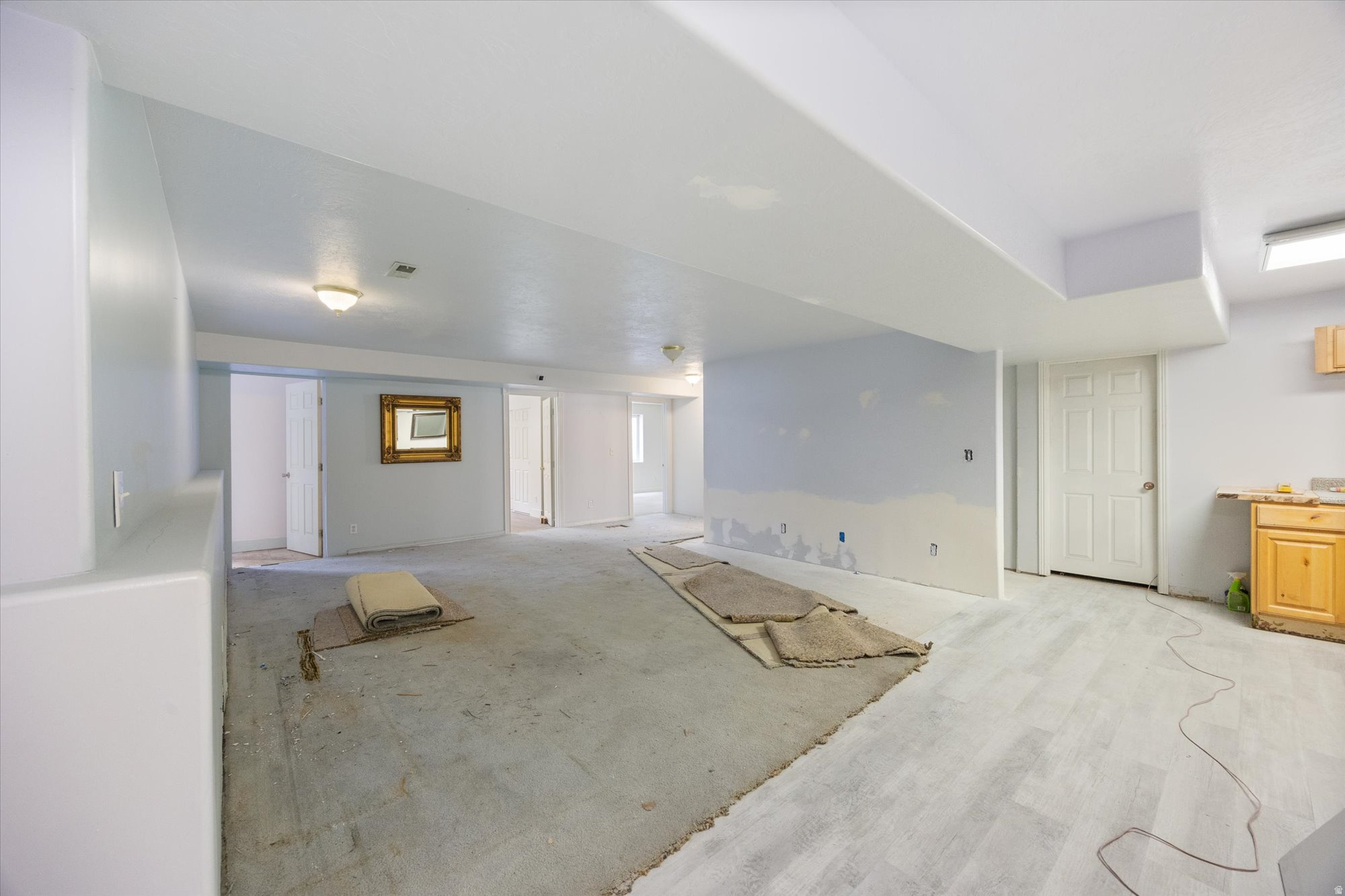 VILLAGE AT JORDAN LANDING - Residential