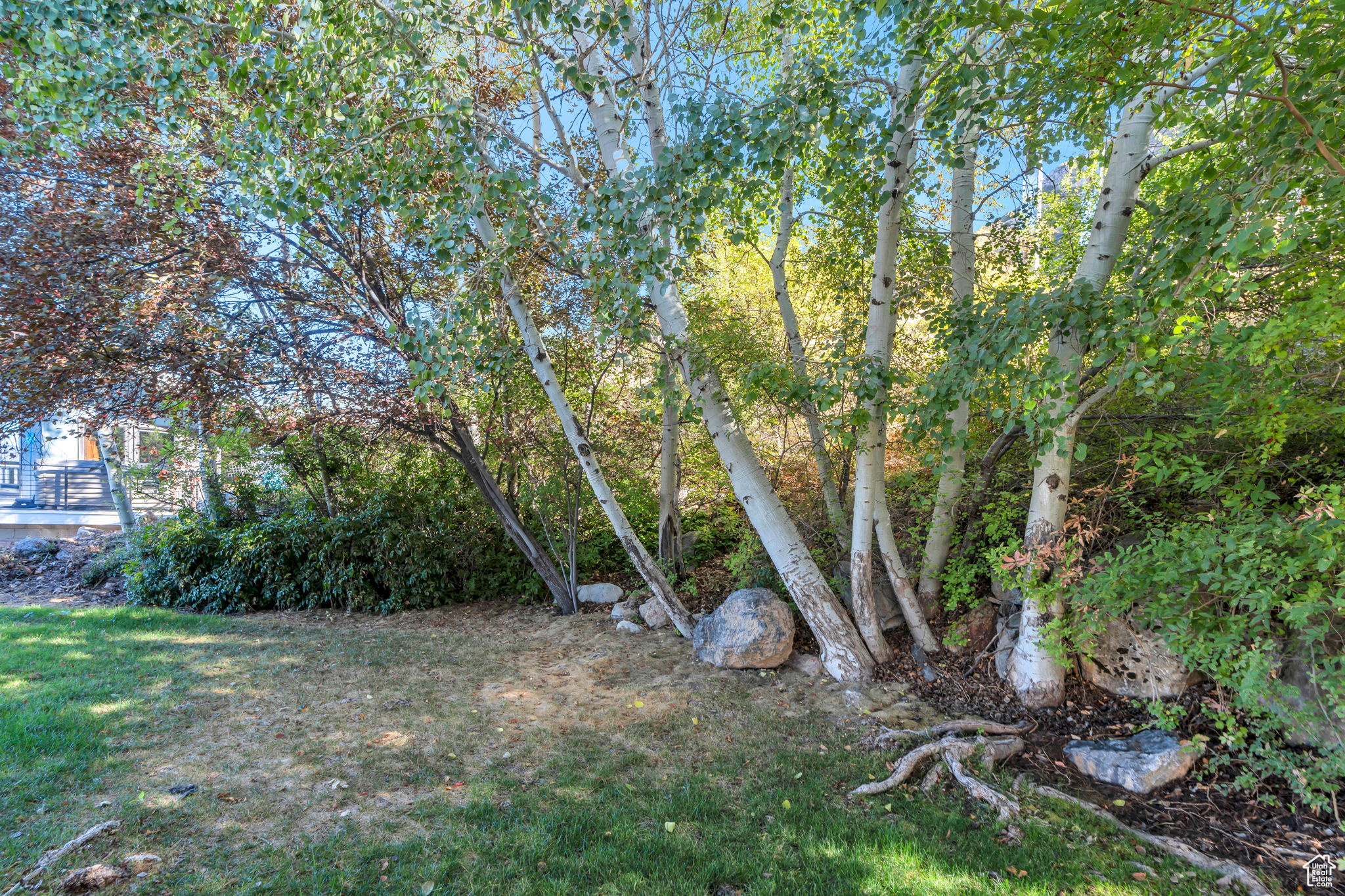 OAK HILLS - Residential