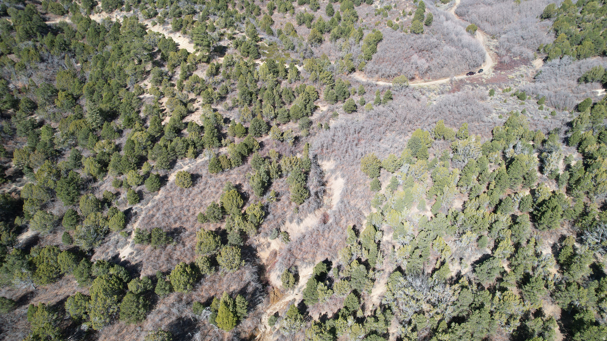 DEER SPRINGS RANCH PLAT C - Land