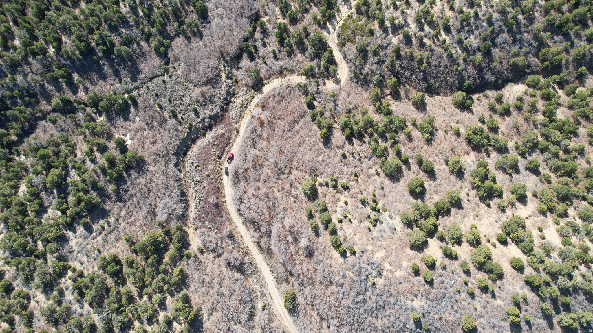 DEER SPRINGS RANCH PLAT C - Land