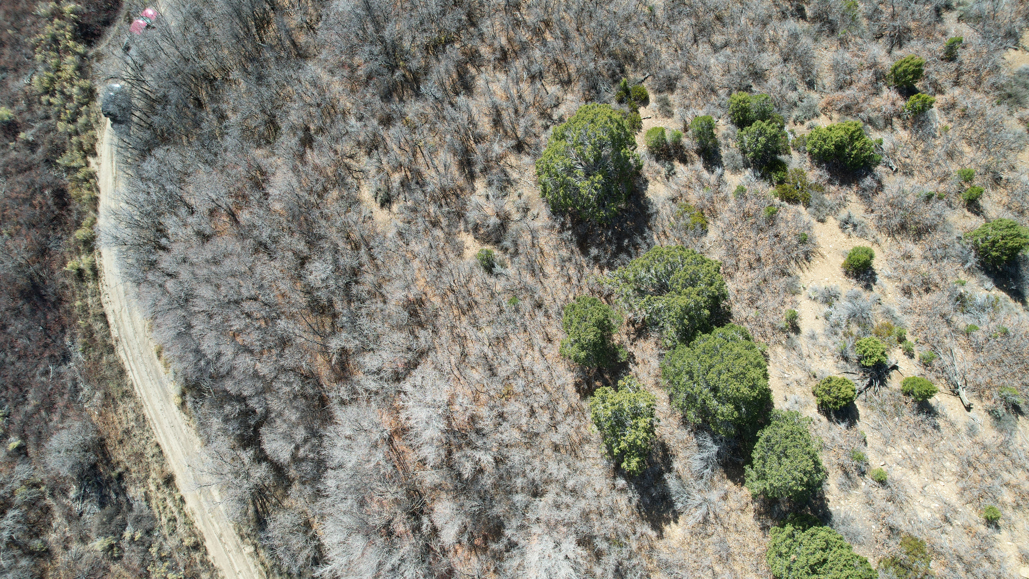 DEER SPRINGS RANCH PLAT C - Land