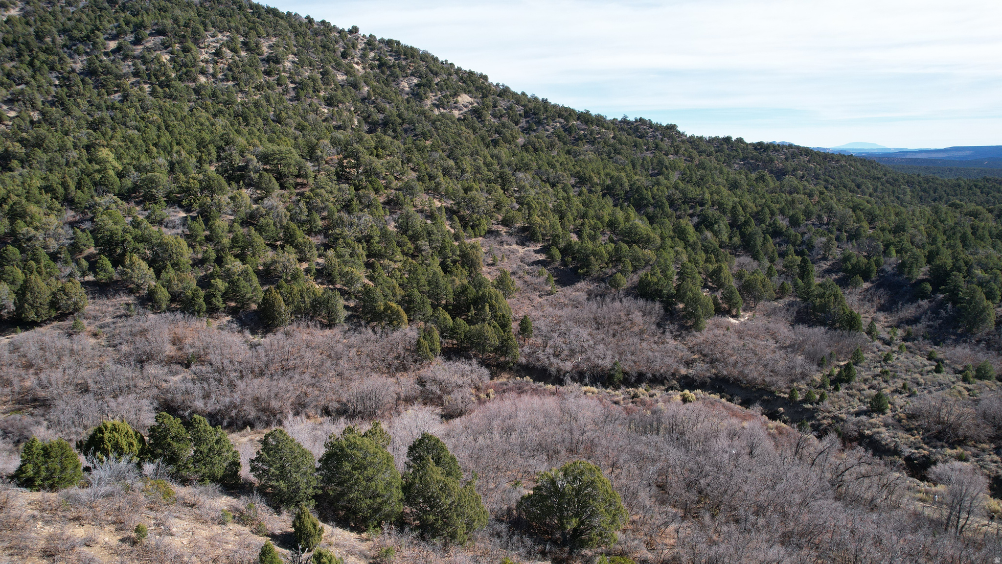 DEER SPRINGS RANCH PLAT C - Land