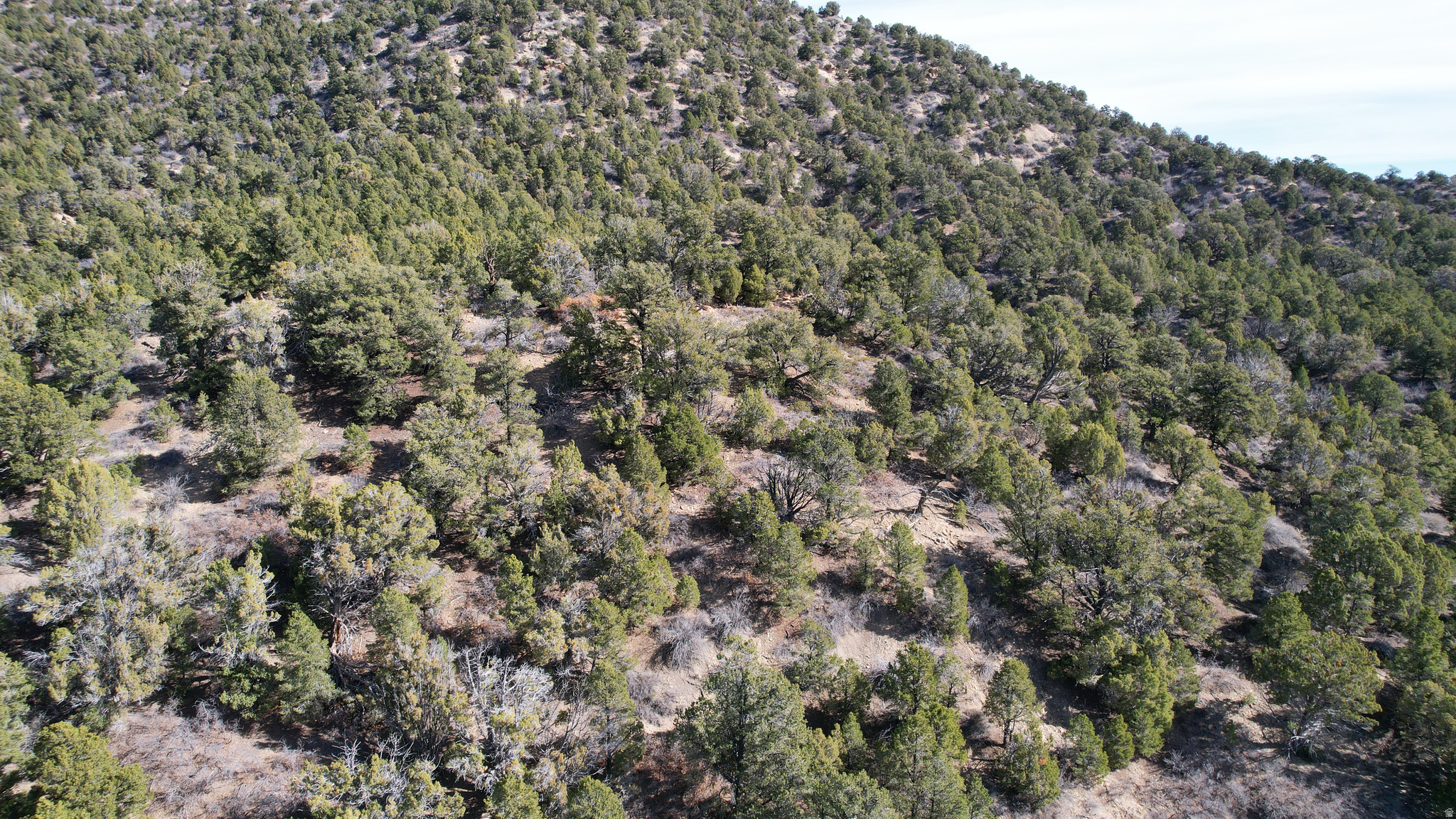 DEER SPRINGS RANCH PLAT C - Land