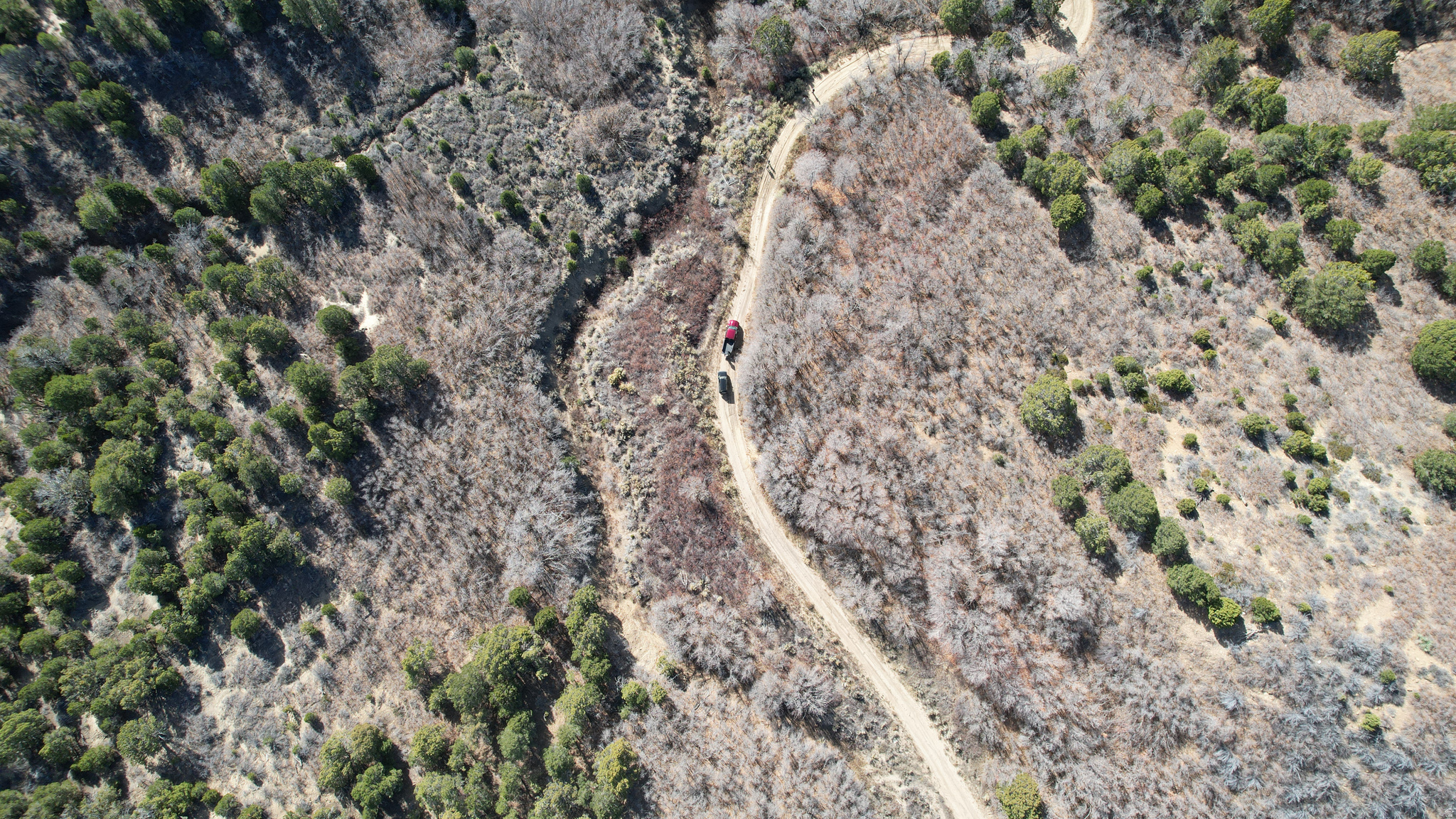 DEER SPRINGS RANCH PLAT C - Land