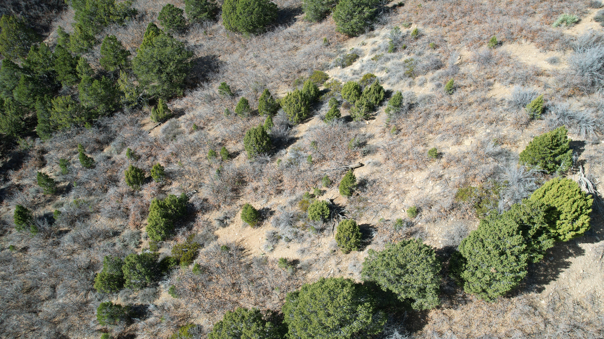 DEER SPRINGS RANCH PLAT C - Land