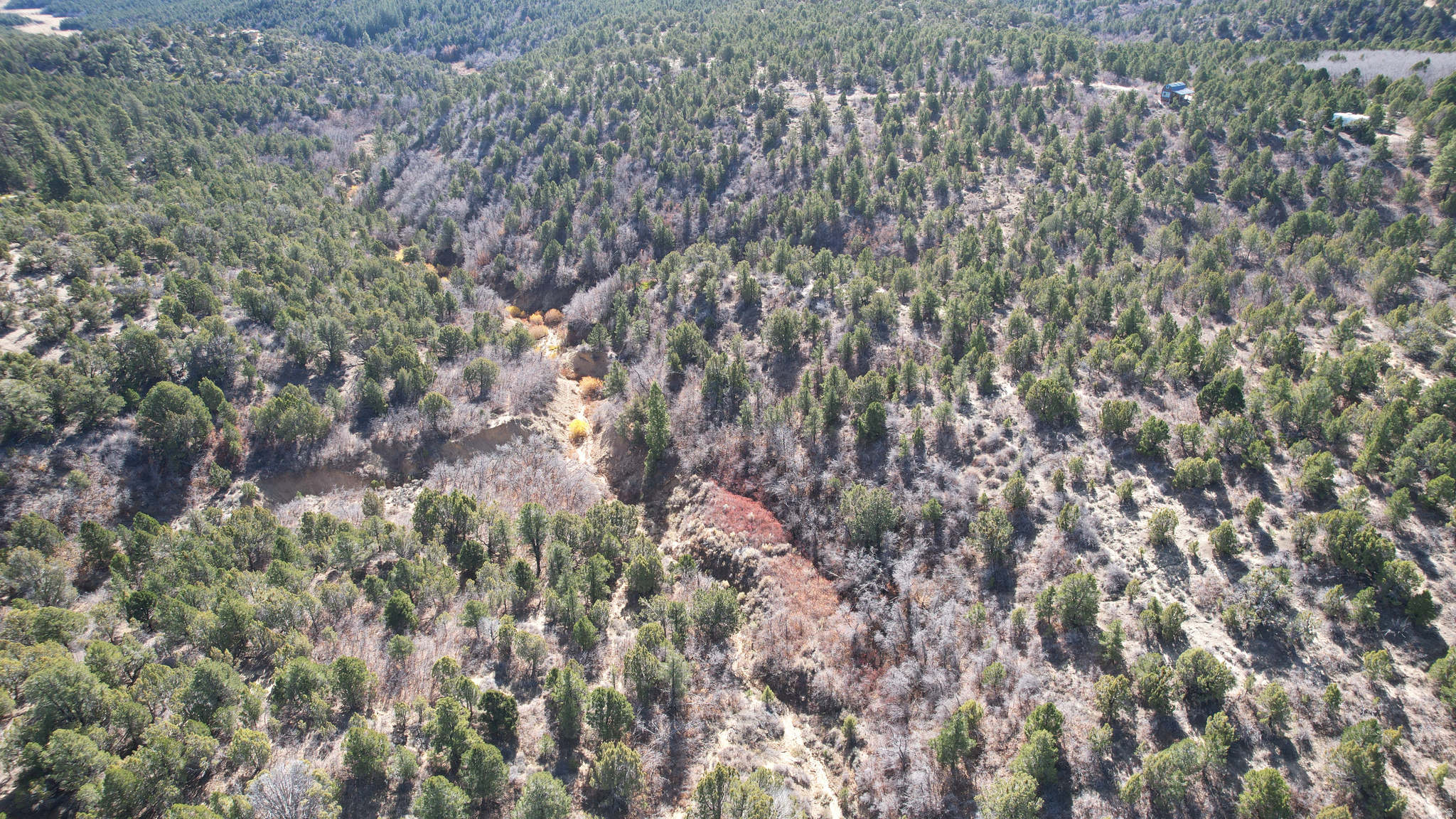 DEER SPRINGS RANCH PLAT C - Land