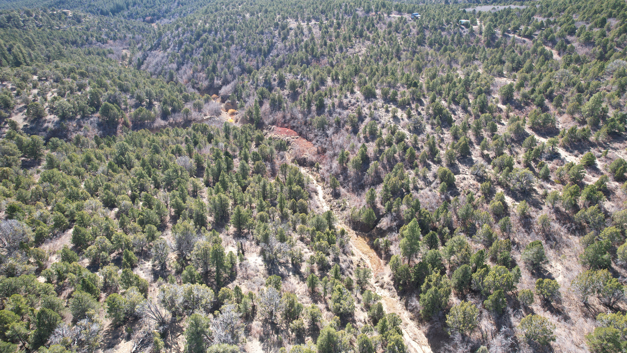 DEER SPRINGS RANCH PLAT C - Land