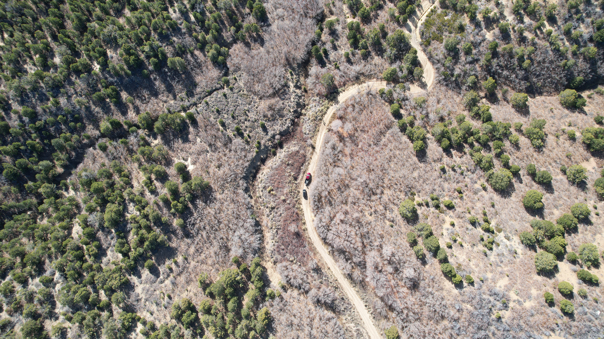 DEER SPRINGS RANCH PLAT C - Land