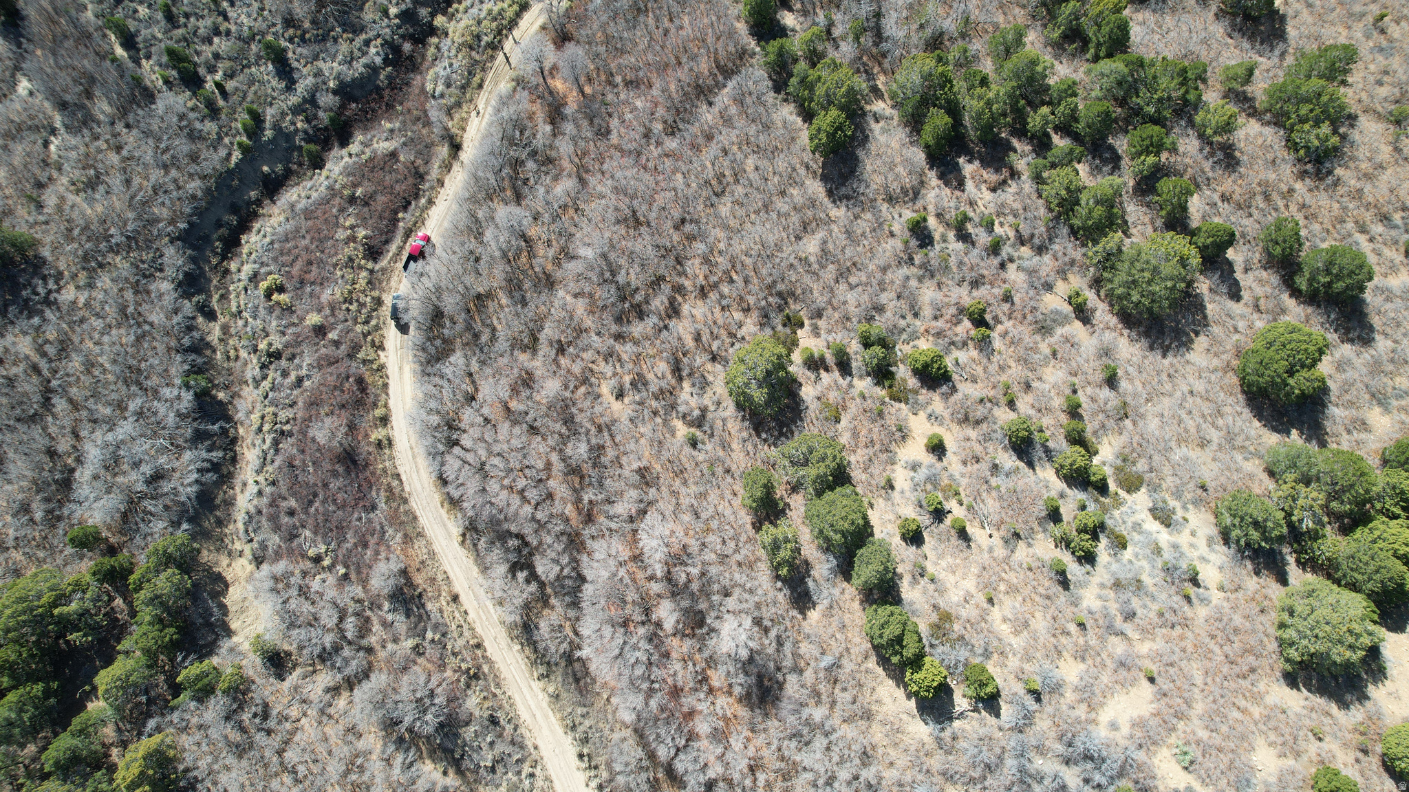 DEER SPRINGS RANCH PLAT C - Land