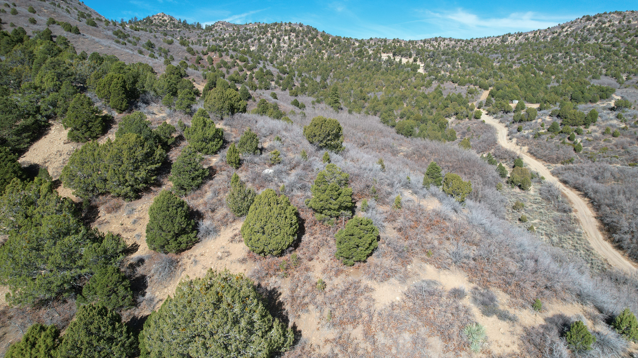 DEER SPRINGS RANCH PLAT C - Land