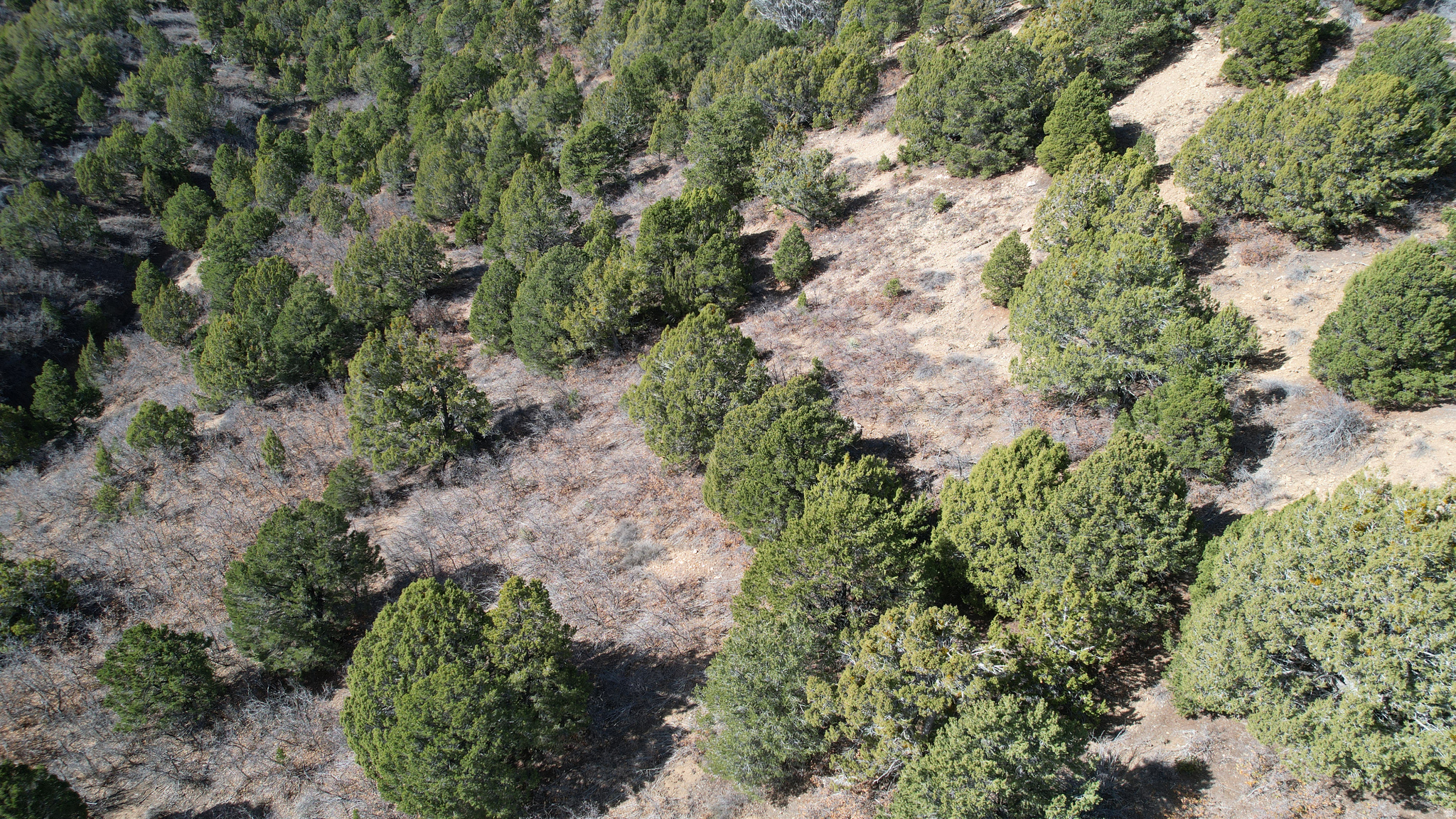 DEER SPRINGS RANCH PLAT C - Land