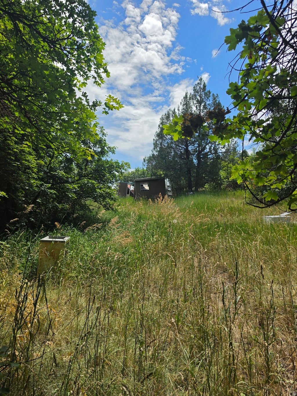 Photo of 6999 E CUB RIVER RD #2, Preston, ID 83263 (MLS # 2185436)
