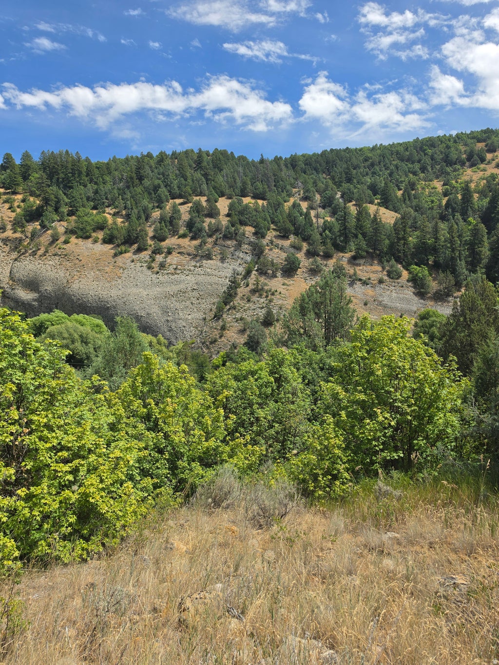 Photo of 6999 E CUB RIVER RD #2, Preston, ID 83263 (MLS # 2185436)