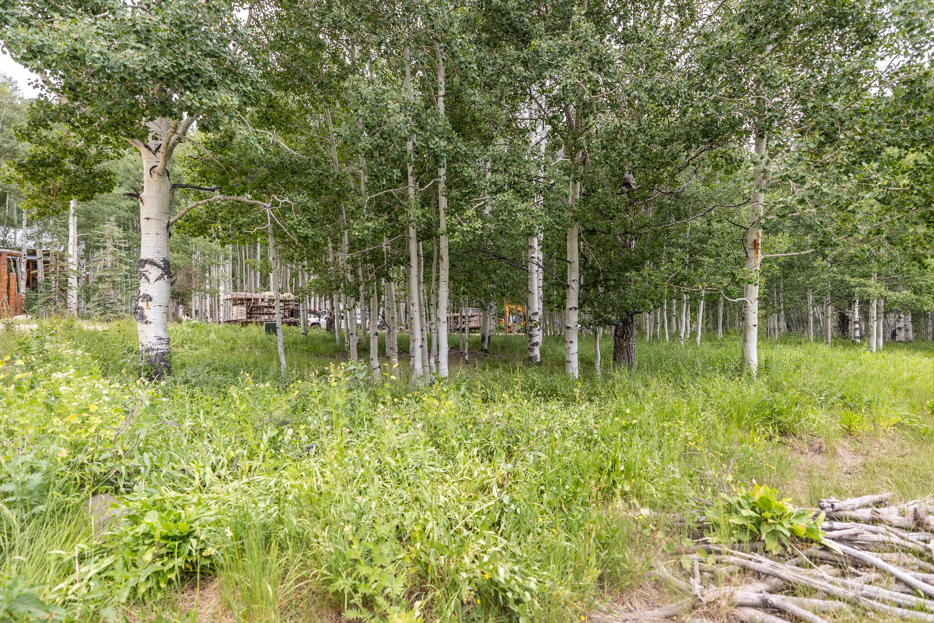 TIMBER LAKES - Land