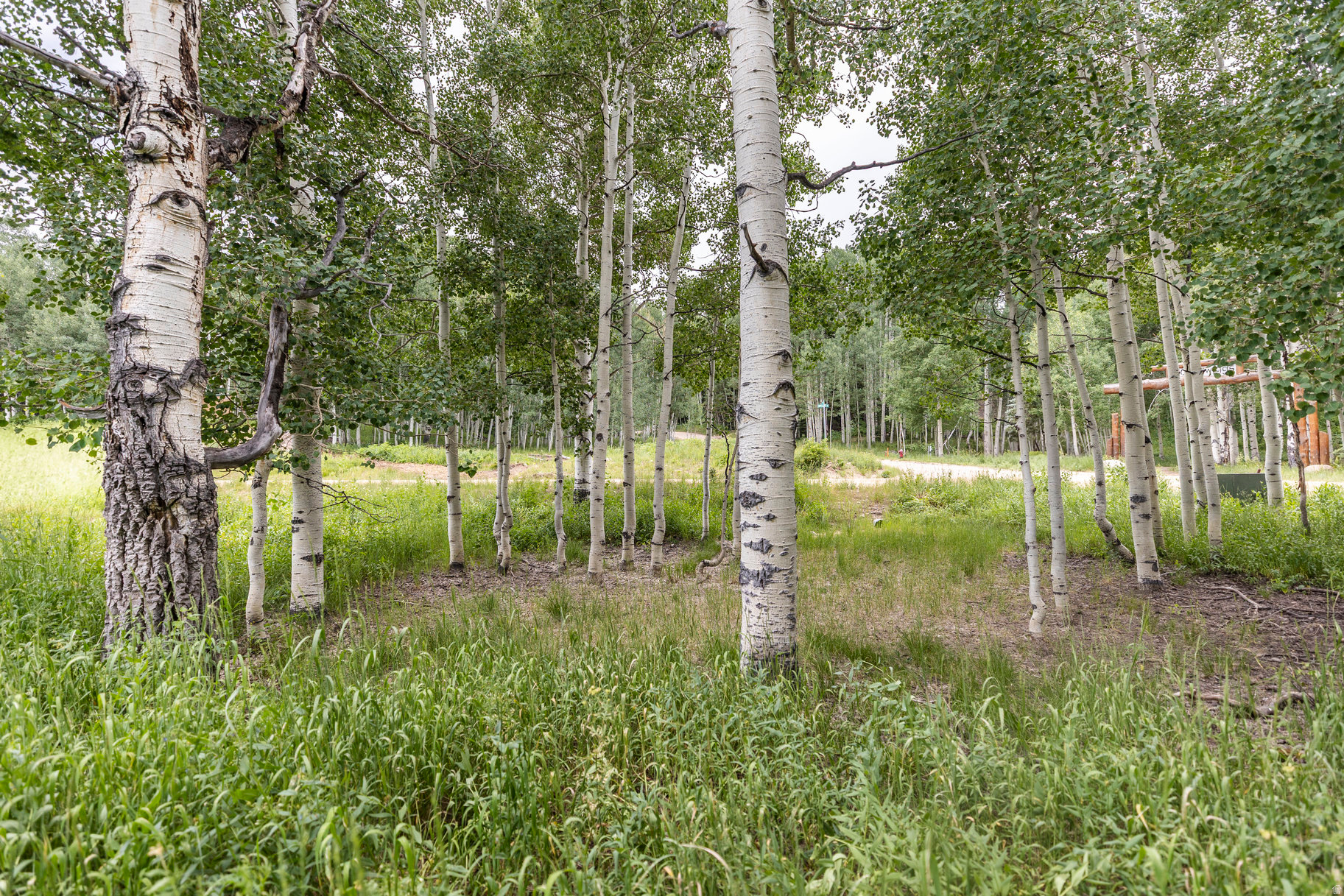 TIMBER LAKES - Land