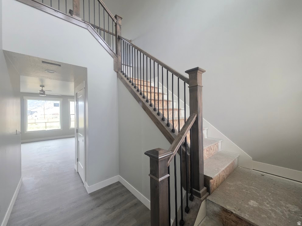 CARDAMINE - Residential