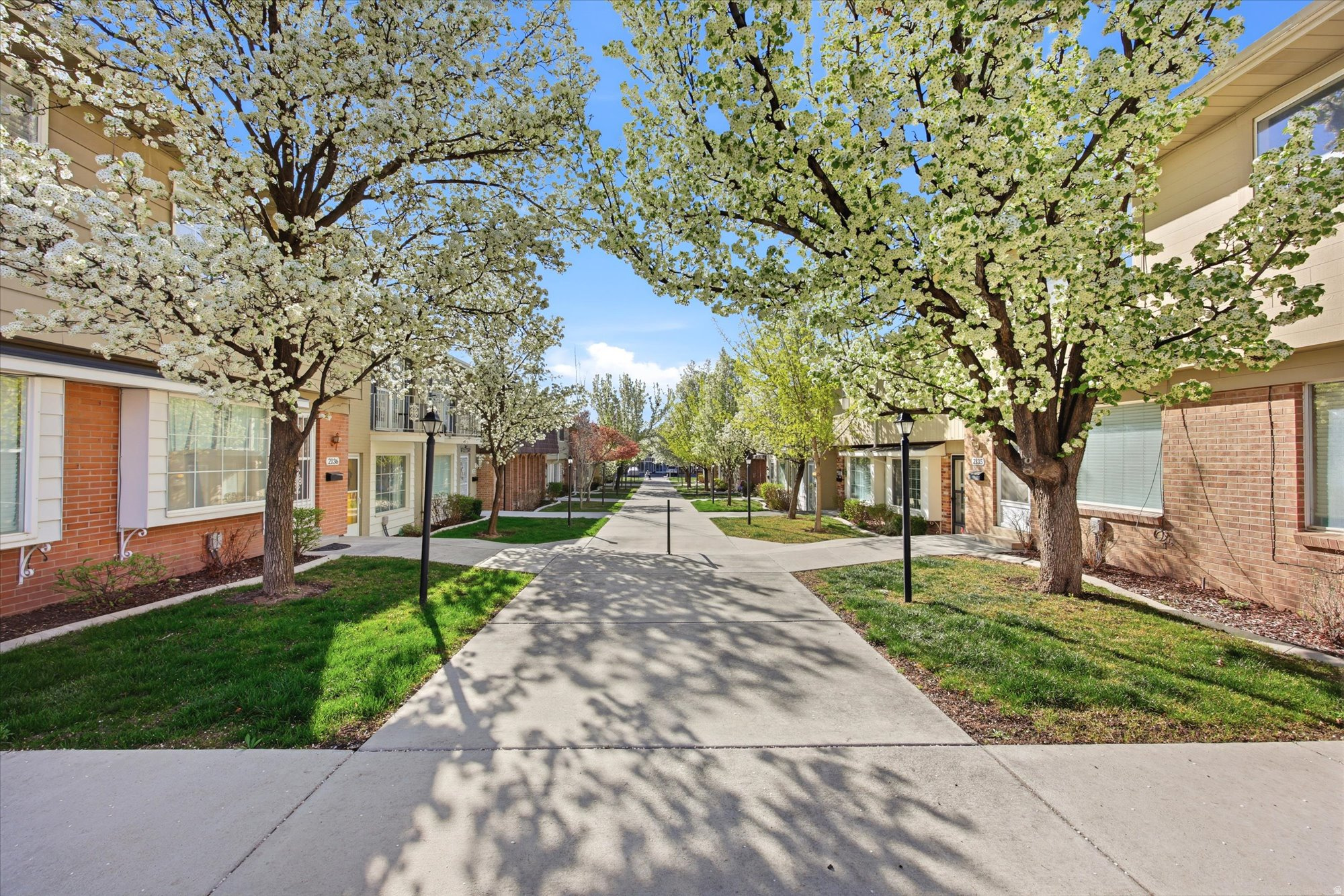 GEORGETOWN SQUARE - Residential