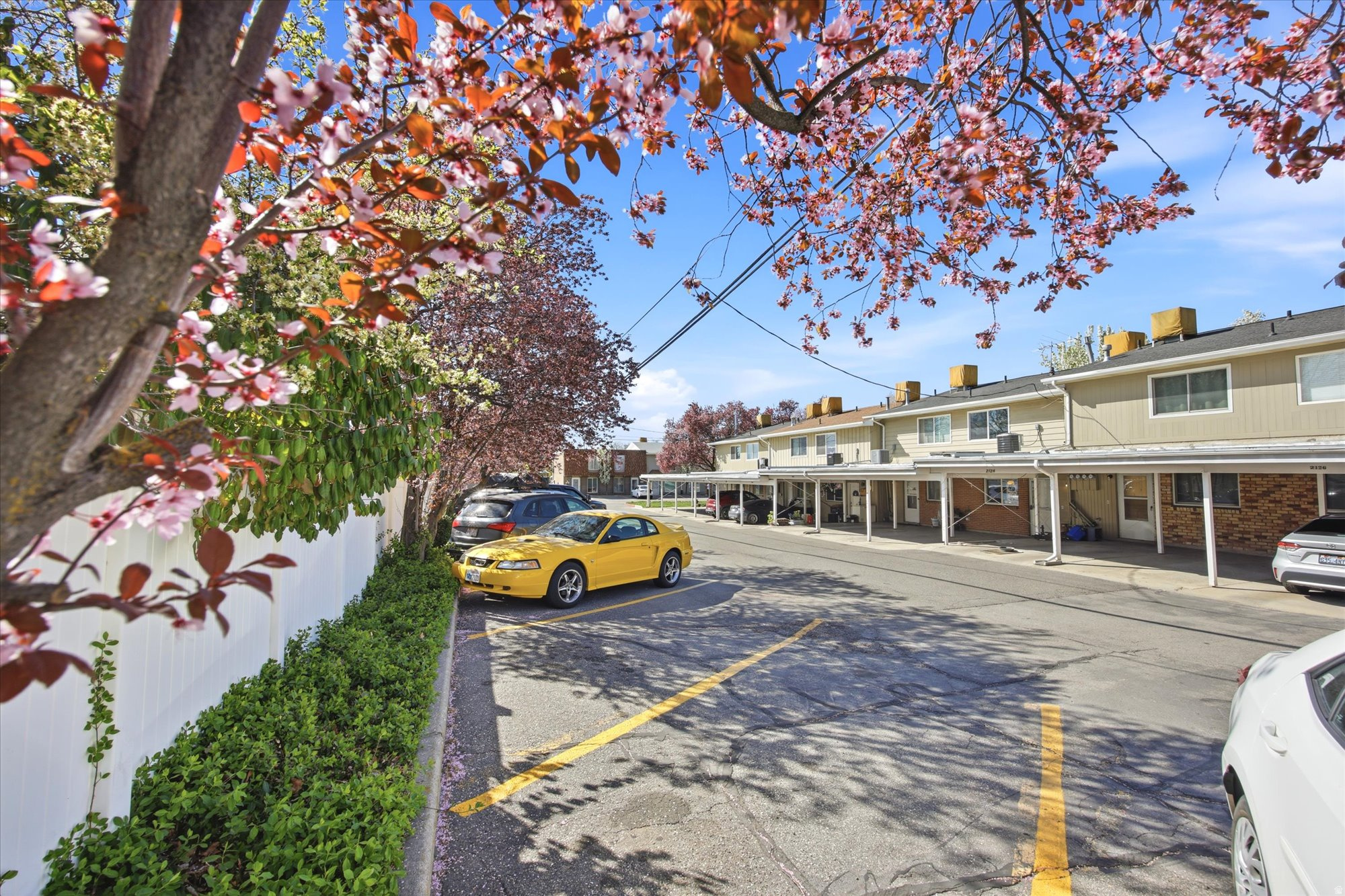 GEORGETOWN SQUARE - Residential