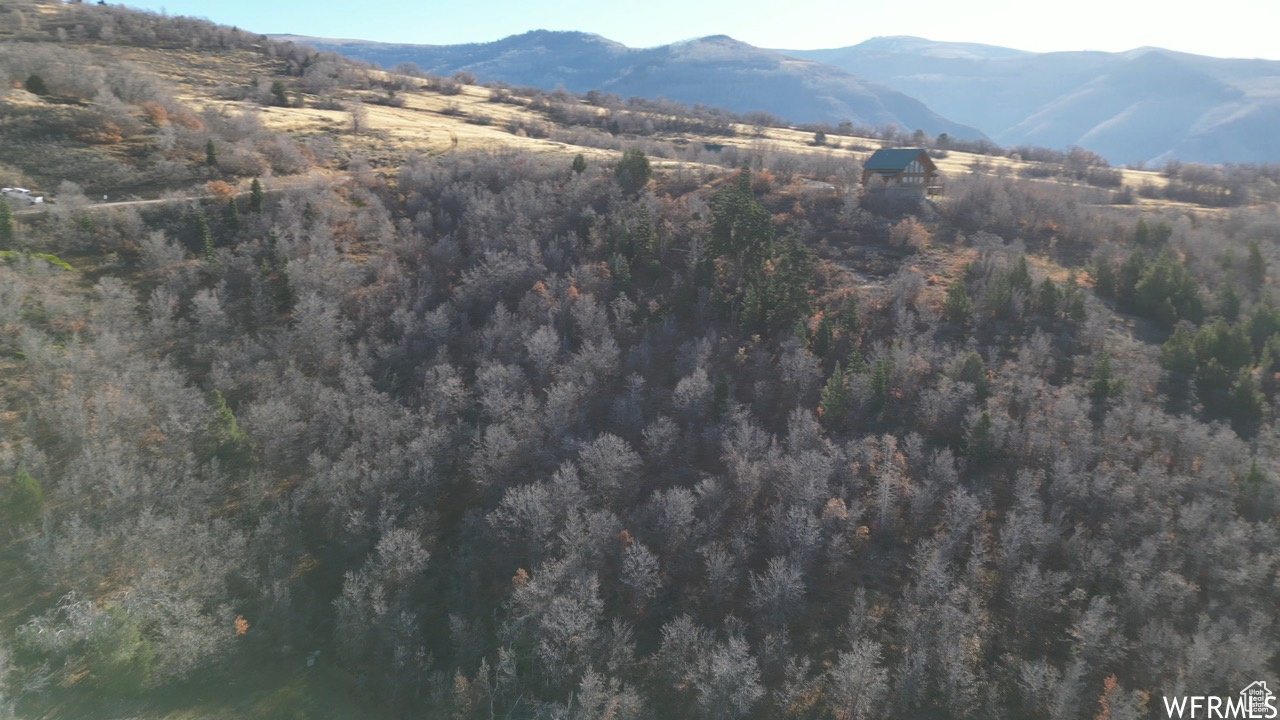 22045 N 14375 #37, Fairview, Utah image 6