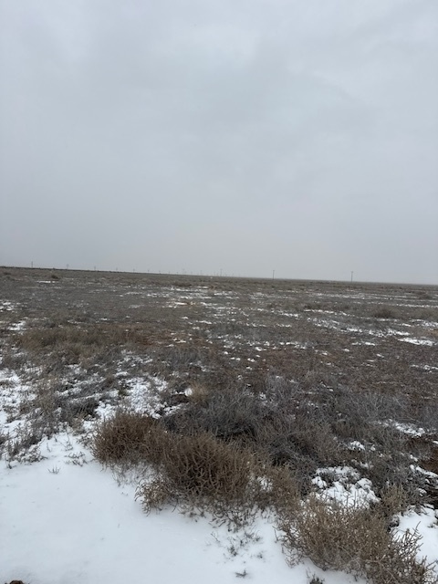 SUNVALLEY ESTATES - Land