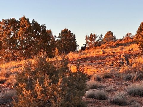 Tiny photo for 675 W 950 N, Blanding, UT 84511 (MLS # 2134934)