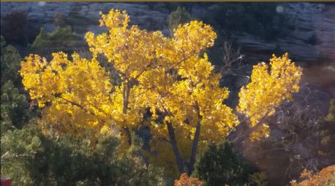 Tiny photo for 675 W 950 N, Blanding, UT 84511 (MLS # 2134934)