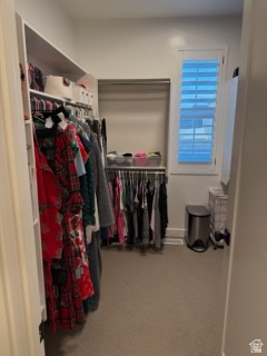 OVERLAND - Residential