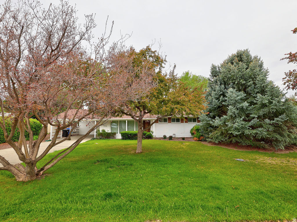 COTTONWOOD M - Residential