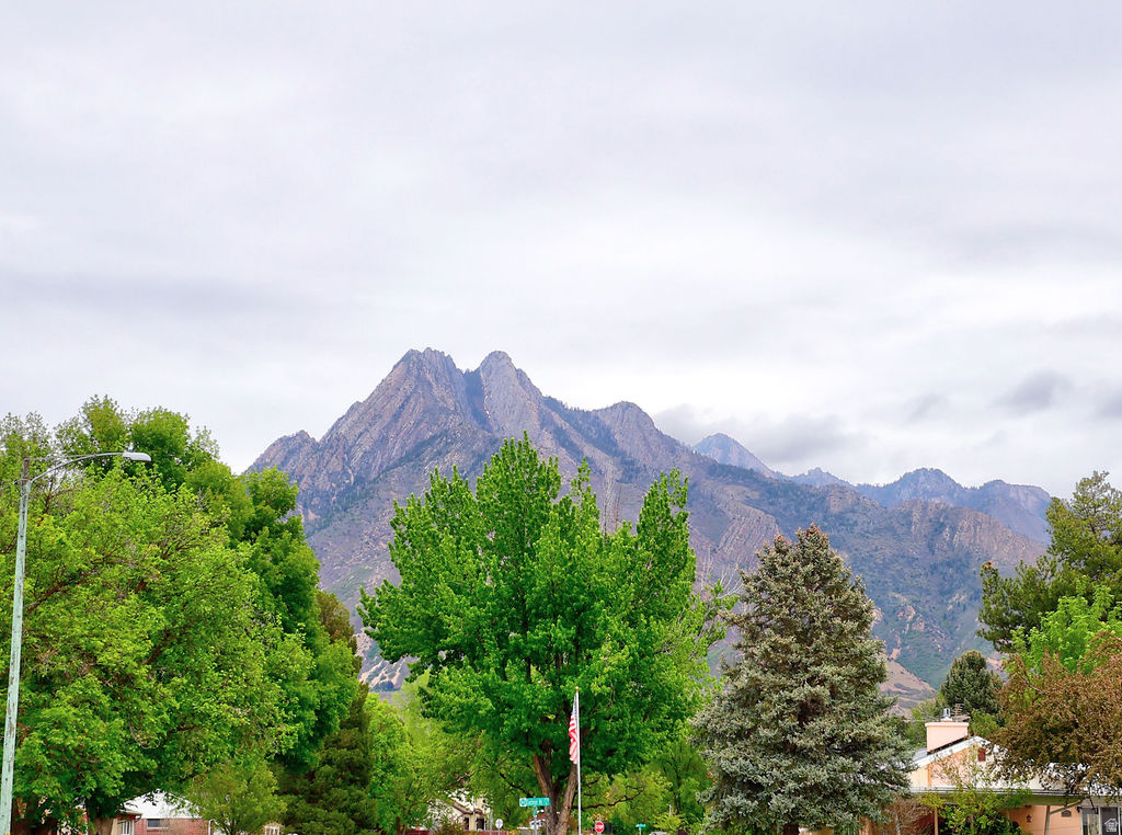 COTTONWOOD M - Residential