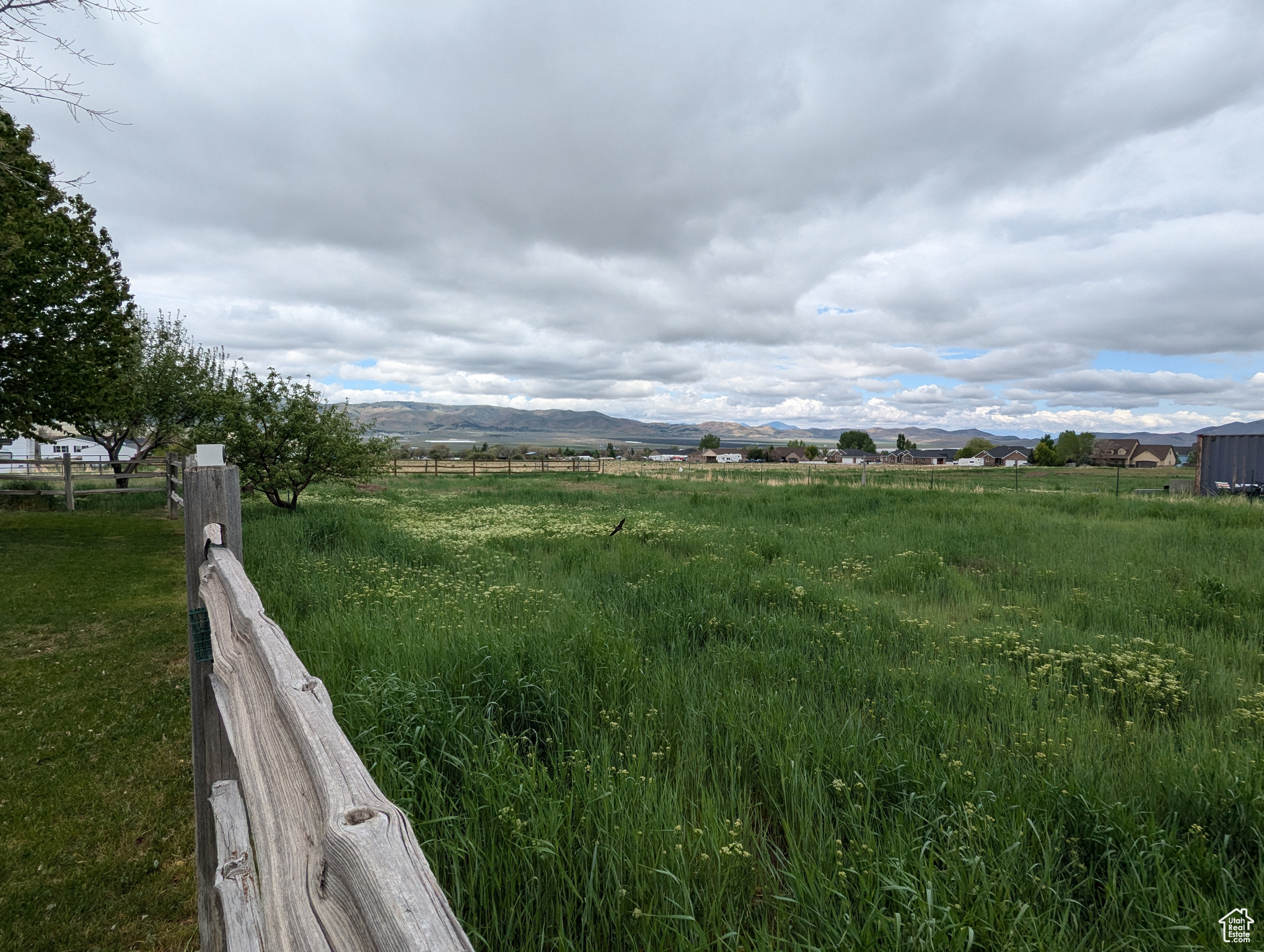 565 E Platt Ln #1, Mona, Utah image 44