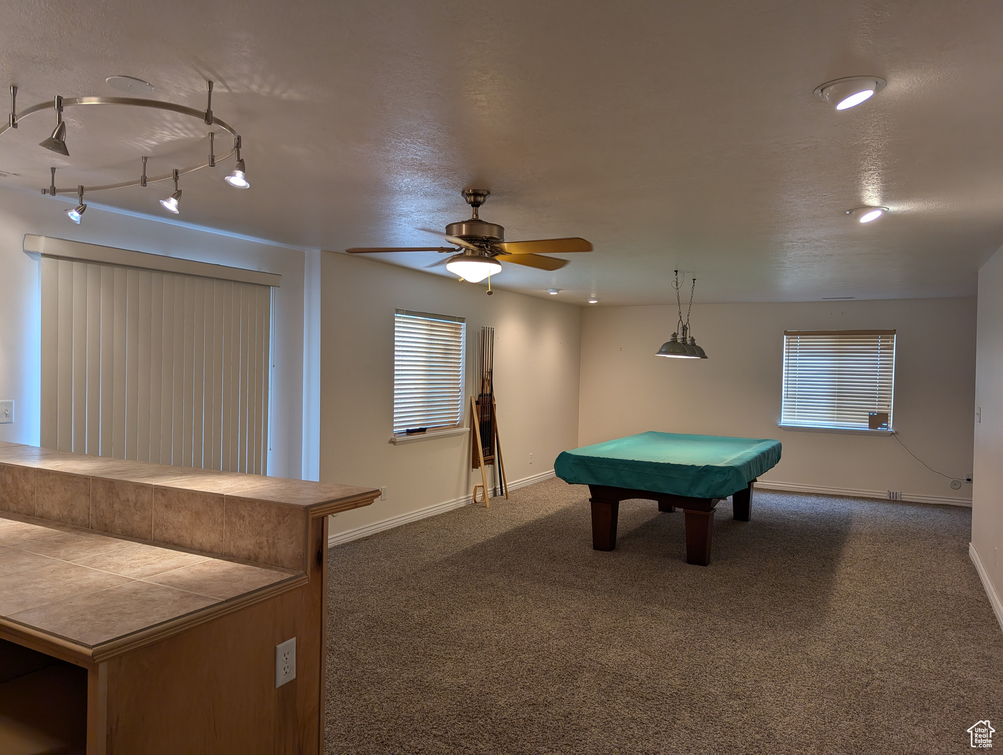 565 E Platt Ln #1, Mona, Utah image 33