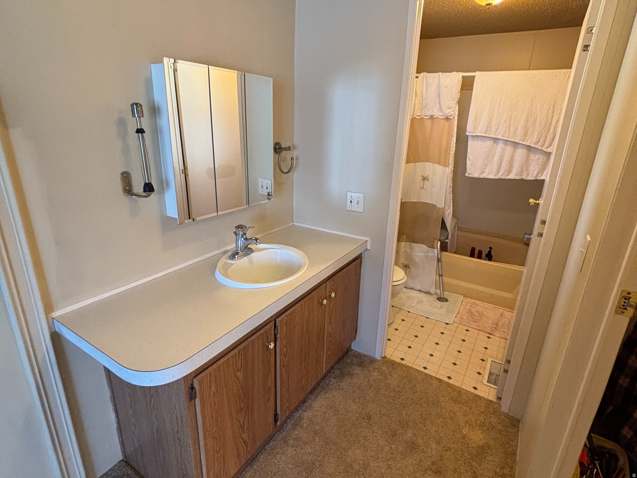 Main image without alt text